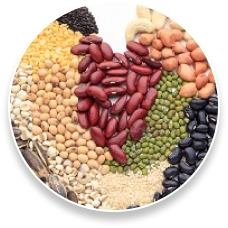ProstaPure™ Campesterol Phytosterols